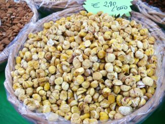 Castagne raccolte, tradizione autunnale in Abruzzo