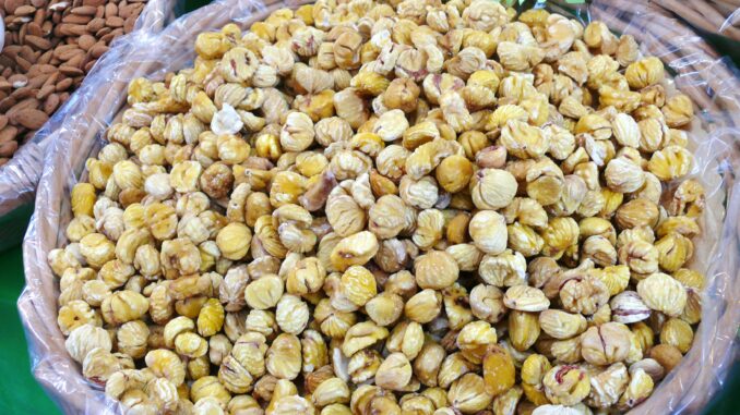Castagne raccolte, tradizione autunnale in Abruzzo