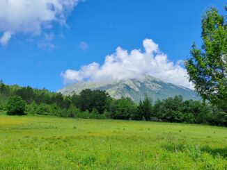 Panorama della Riserva Naturale La Camosciara nel Parco Nazionale d'Abruzzo, Lazio e Molise