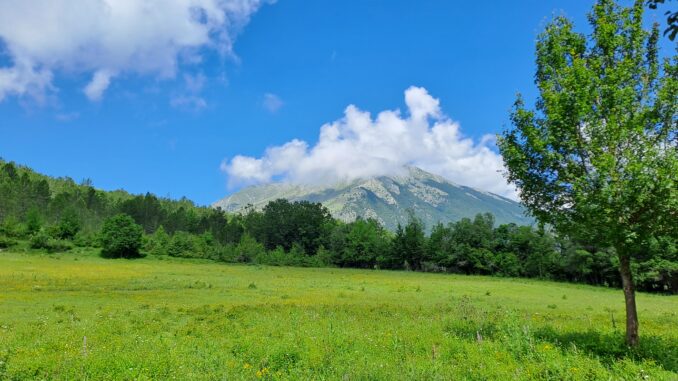 Panorama della Riserva Naturale La Camosciara nel Parco Nazionale d'Abruzzo, Lazio e Molise
