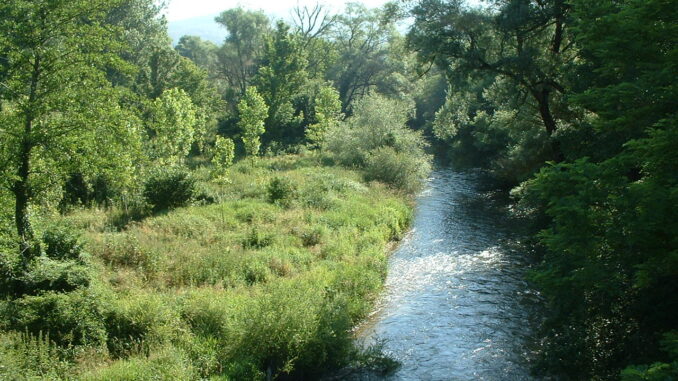 Ansa del fiume Sangro tra la vegetazione, tratto di pesca a mosca nell'Alto Sangro