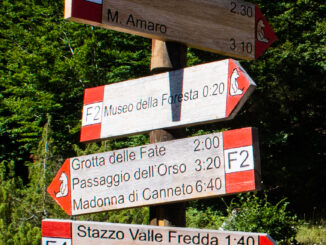 Sentiero nella faggeta di Val Fondillo, Parco Nazionale d'Abruzzo, Lazio e Molise