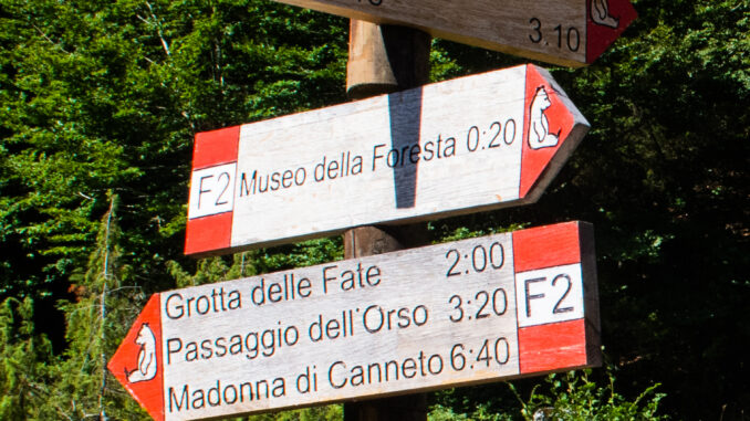 Sentiero nella faggeta di Val Fondillo, Parco Nazionale d'Abruzzo, Lazio e Molise